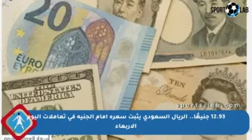 12.93 جنيهًا.. الريال السعودي يثبت سعره أمام الجنيه في تعاملات اليوم الأربعاء